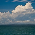 IMG_6321