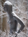 IMG_8164