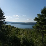 IMG_0117